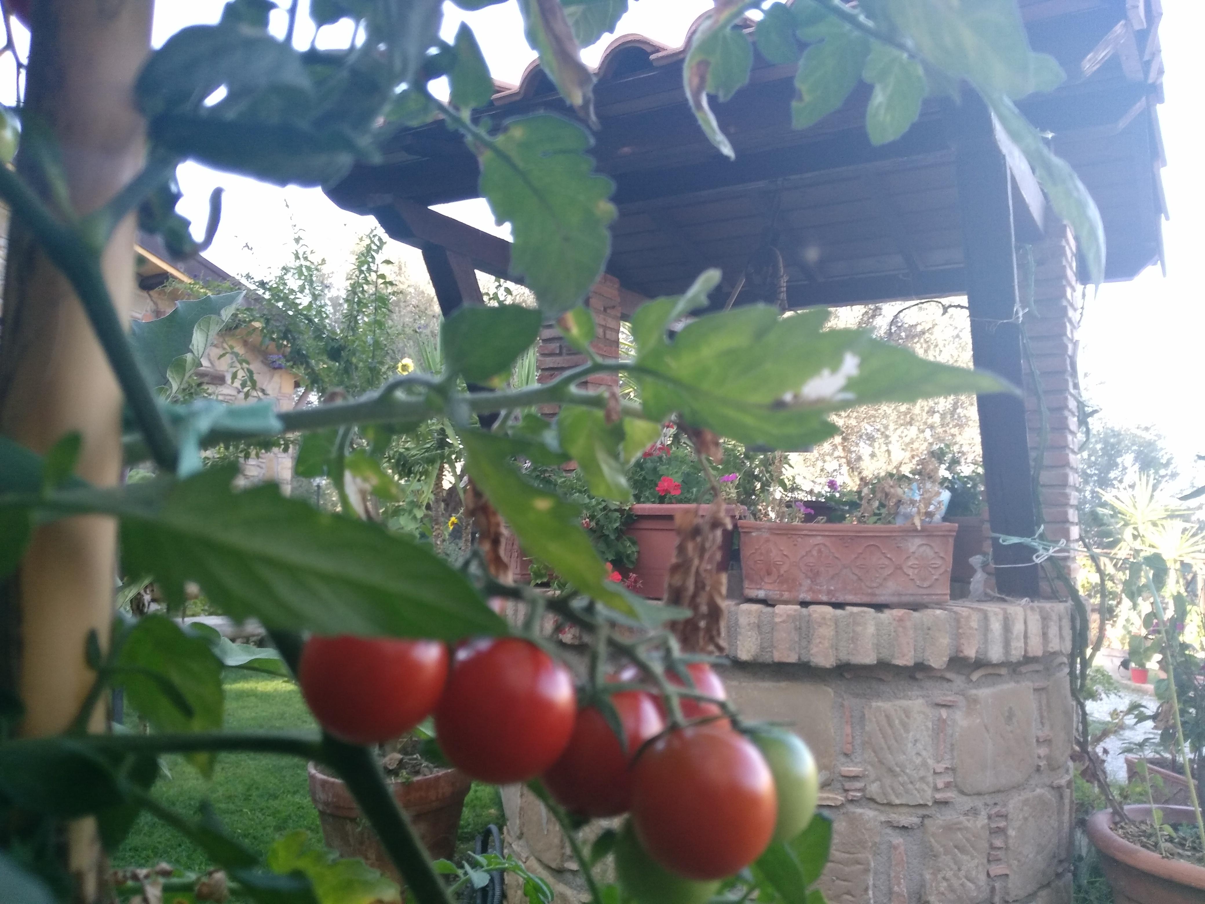 L'Uliveto Villa Reitano  Luaran gambar