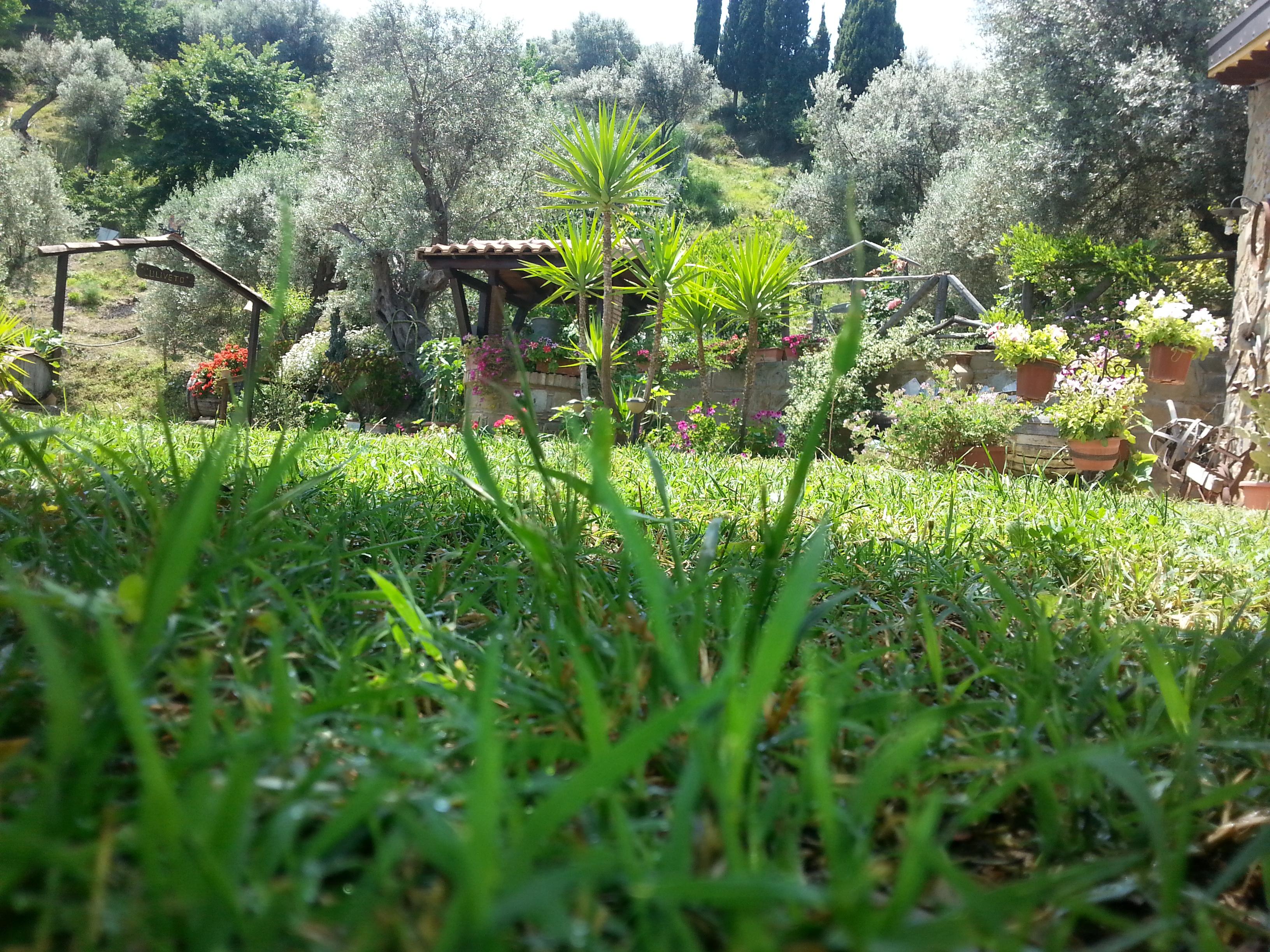 L'Uliveto Villa Reitano  Luaran gambar