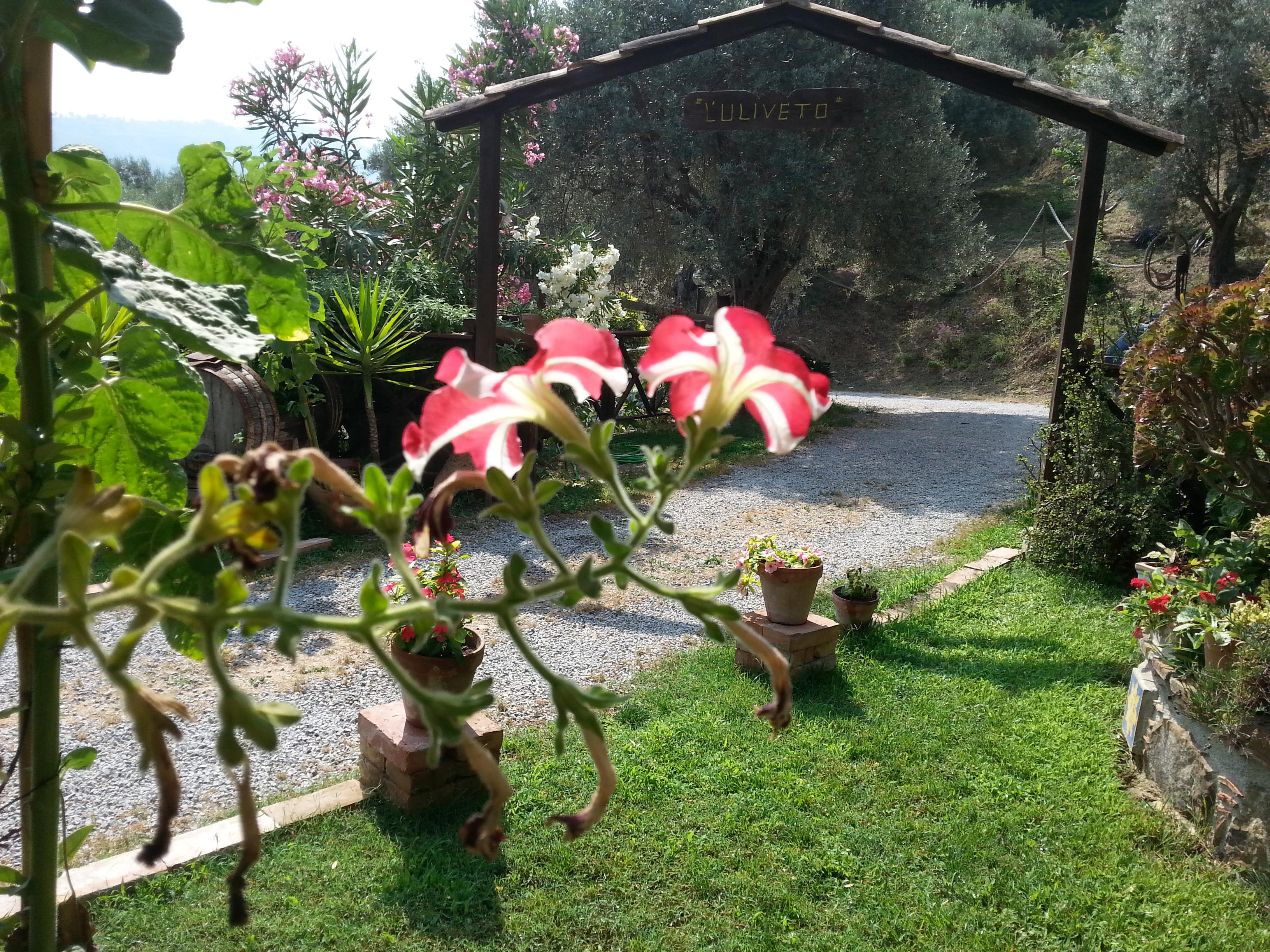 L'Uliveto Villa Reitano  Luaran gambar