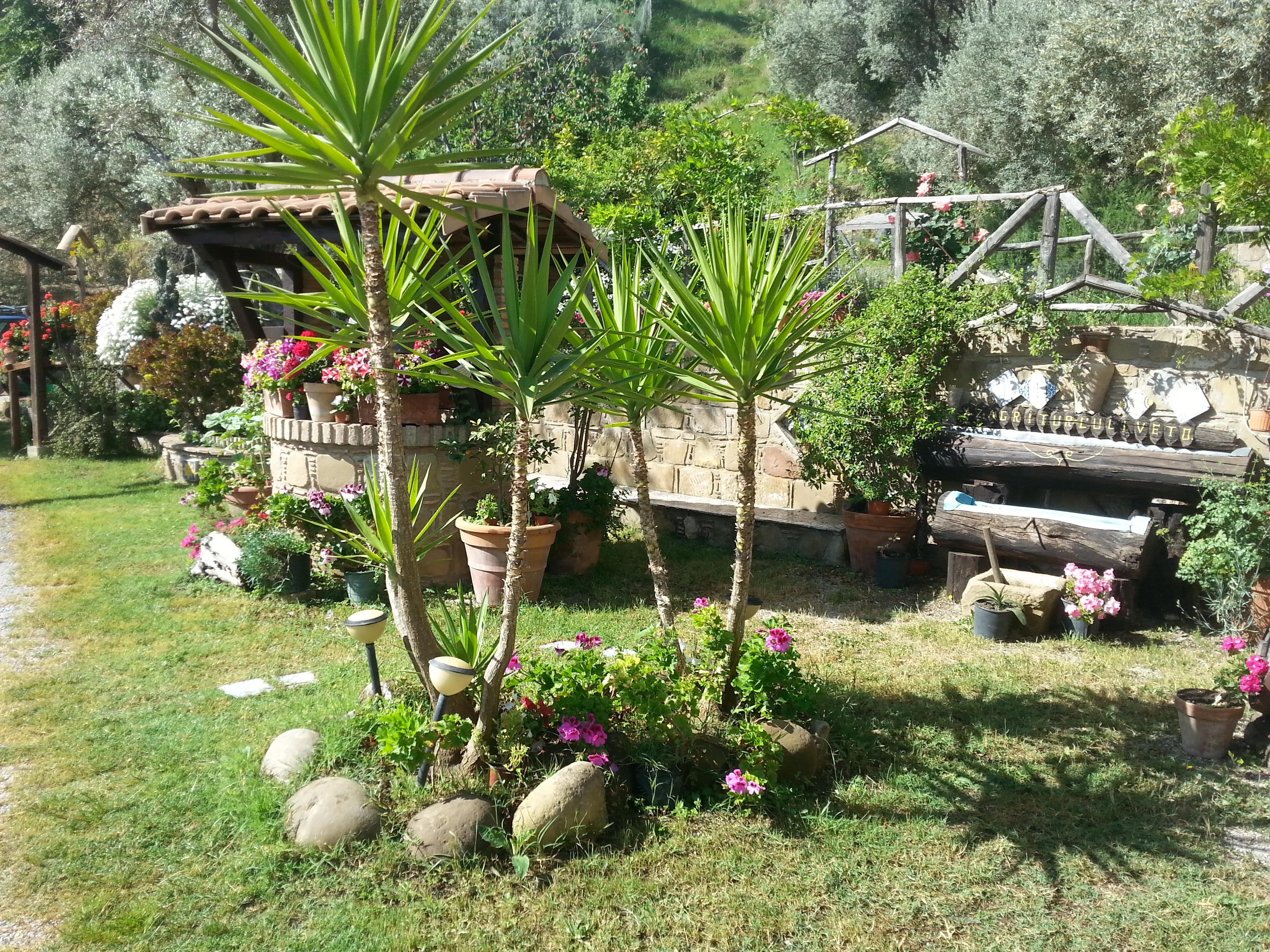 L'Uliveto Villa Reitano  Luaran gambar